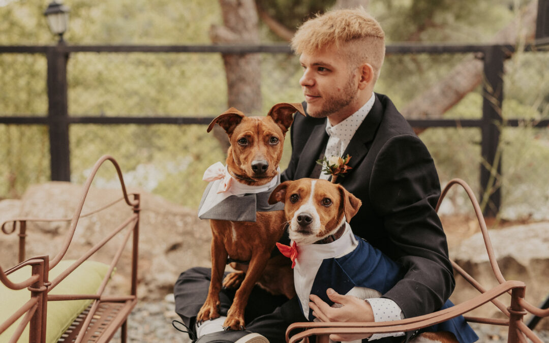The Role of Pets in Weddings at La Finka 4.1