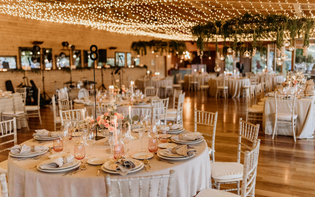 THE SALON: elegance that embraces light