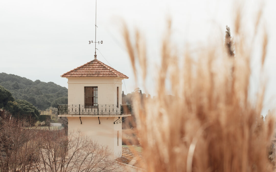 THE ORCHARD: a natural sanctuary for unforgettable ceremonies